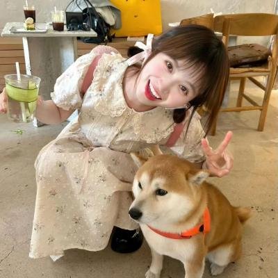 逆转世界的电池少女 在线观看封面