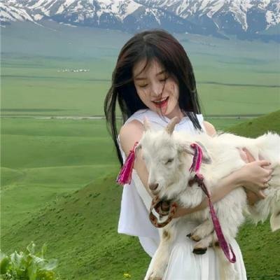 撕裂：重混宣言 在线观看封面