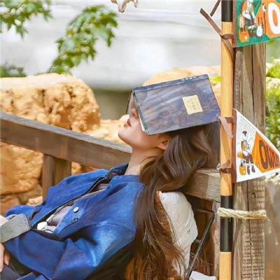 烈女与镖客 在线观看封面