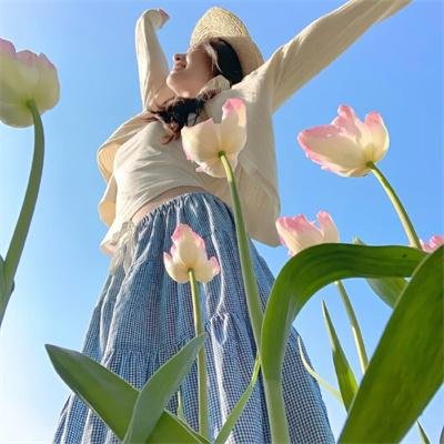 游戏6 在线观看封面